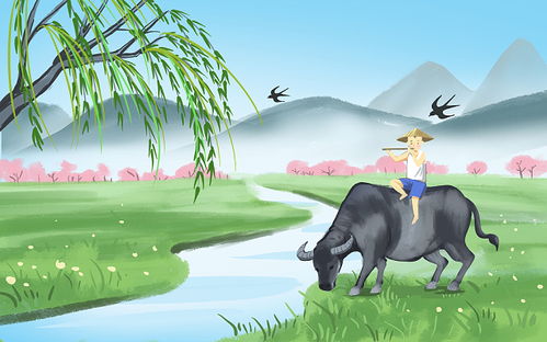 湖州吳興區同城特色服務資源與網絡技術概述